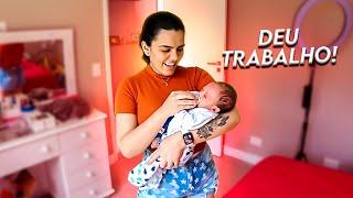 TRABALHANDO COM O NOAH - DEU CERTO?