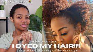 Chile, I DID IT!!!! How I Dyed My Natural Hair At Home With NO BLEACH and NO DAMAGE!