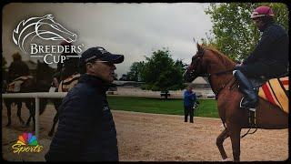 Aidan O'Brien's horse training wonderland at Ballydoyle | NBC Sports