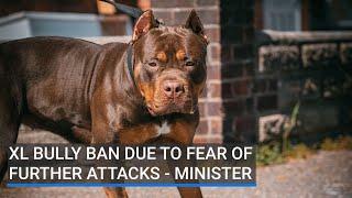 XL bully ban due to fear of further attacks, says Minister