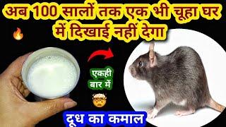 बिना दवाई दूध से चूहे भगाने का घरेलू तरीका  rid of mouse/ chuhe bhagane ka tarika