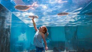 UNDERWATER BOX with STINGRAYS!!