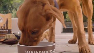 Pets at Home TV advert 2015 - Wainwrights Pet Food #wainwrightsdifference