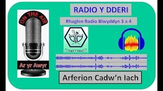 RADIO Y DDERI - Blwyddyn 3 a 4 - ARFERION CADW'N IACH