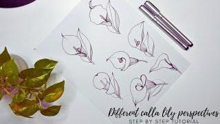 How to draw 7 different calla lily flower perspectives. Calla lily | Arum lily drawing. Step by step