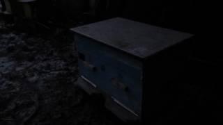Двухматочное пчеловодство. Чуть подробнее о нашей двухматочной семье.