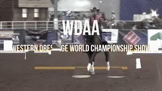 2024 WDAA Western Dressage World Championship Show