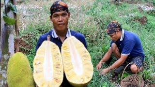 Urap pane gowang ayam burus kolak nangka mateng sagu mutiara untuk buka puasa h21