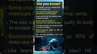 Mind-Bending Facts About the Deep Sea World