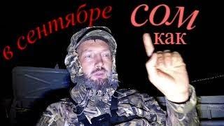 Секреты ловли сома в сентябре! Какая наживка нужна на сома? Ловля сома ночью.