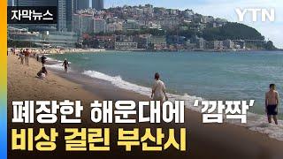 [자막뉴스] 외국인 잇단 사망...해운대 해수욕장 안전 '비상' / YTN