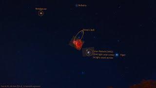 A Perspective on Orion