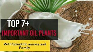 Important oil yielding plants | Economic botany