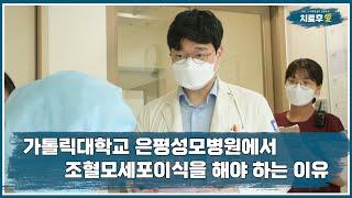 [치료후愛] 조혈모세포이식 후 관리 4부 - 은평성모병원에서 조혈모세포이식을 해야 하는 이유