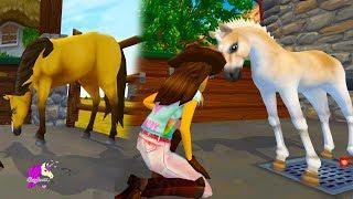 Help The Hurt Foal ! Vet Care Rescue Ranch Quest Star Stable Online Game Video