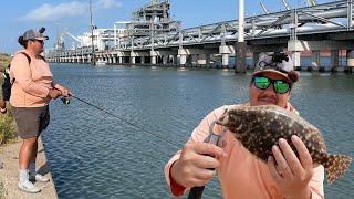 Galveston TX **Flounder Fishing** This Spot is INSANE