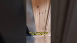 Баня из бруса 6х2.3 м.  Какая печь в комплекте? #стройка #дача #ремонт #shorts