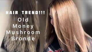 HAIR TREND | Old Money MUSHROOM Bronde | Toning Down Blonde Hair