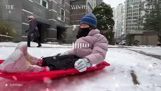 Sledding on Christmas(크리스마스날 눈썰매 타기)