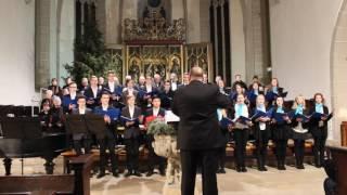 Weihnachts-Wiegenlied | Doppelquartett "Audifac" Martin Luther Gymnasium Eisleben