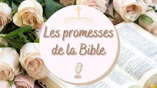 Les promesses de la Bible