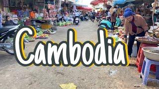 Market at provincial Cambodia Beef, vegetables and Grocery