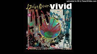 Living Colour |  Funny Vibe [432HZ/HQ]