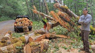 Roadside Firewood Haul After a Storm (Forest Service Showed Up)