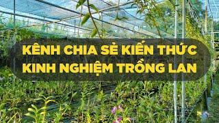 Giới thiệu kênh hoa lan hoàng châu