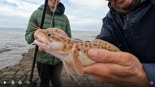 ON THE FISH AT KILVE. #bristolchannel #beachfishing #KILVE.