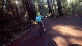 Parrt 3 Aptos Nisene Marks State Park Mountain Cold Bike Beginner Kids Grom Ride