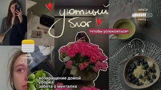 Чтобы успокоиться | забота о себе, жизнь одной, уборка, уход за кожей, тихий влог, тревожность