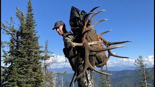 BIG BULLS DIE HARD / Idaho Elk Hunt - Stuck N The Rut 154