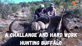 Buffalo hunt with a surprise or two?