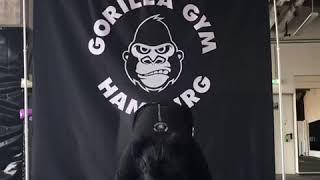 Gorilla Gym Hamburg Workout Nr 1