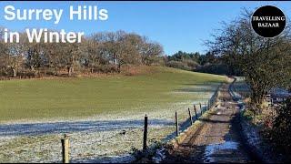  Surrey Hills | Winter Countryside Walk | Surrey | UK