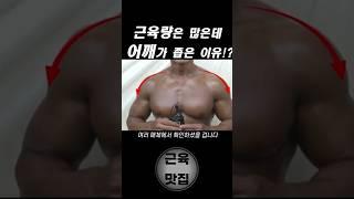 근육랑은 많은데 어깨가 좁은 이유!?