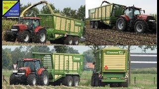 Mais hakselen  Tuller Bathmen met Krone big X 700 en case puma's met Krone TX 460