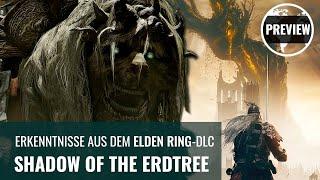 Elden Ring: Shadow of the Erdtree stundenlang gespielt (4K, PREVIEW, GERMAN)