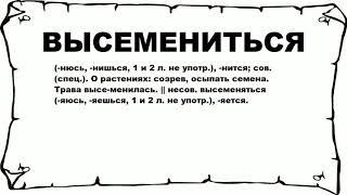 ВЫСЕМЕНИТЬСЯ - что это такое? значение и описание