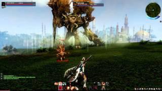 ArcheAge Online CBT3 Gameplay Field Boss