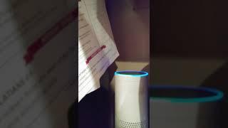 I found an Alexa and asked her if people are good