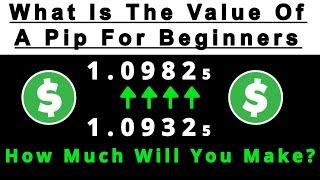 Forex: How To Calculate The Value Of A Pip (Beginners Must Learn This First)