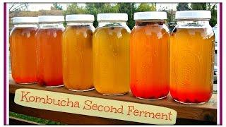 How To Make Fizzy & Flavored KOMBUCHA | Just Like GT's