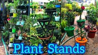 Plant Stands|വീടിൻറെ ഭംഗി വർദ്ധിപ്പിക്കാം|Kailasam Agri Farm| Jobin Magic World