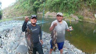 TRES MANERAS EFECTIVAS PARA PESCAR MOJARRAS - pesca con caña de pescar 