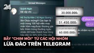 Bẫy "chim mồi" từ các hội nhóm lừa đảo trên Telegram | VTV24