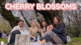 Cherry Blossom Viewing ("Hanami") in Tokyo  Vlog