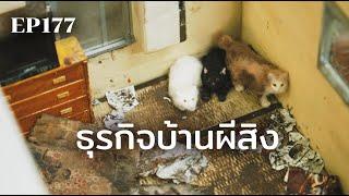 ธุรกิจบ้านผีสิง | ร้อยเรื่องรอบโลก EP177