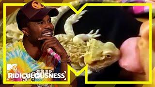 Chanel and Sterling CCLXXXI | Ridiculousness | Series 20 Episode 20